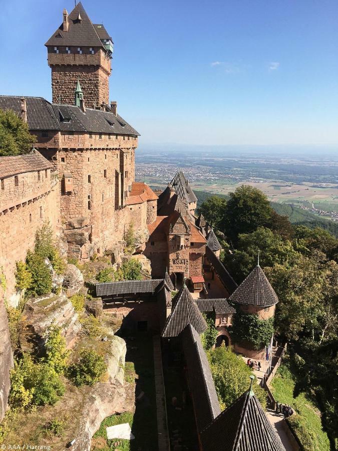 Gite Wellness Le Six H Andolsheim エクステリア 写真